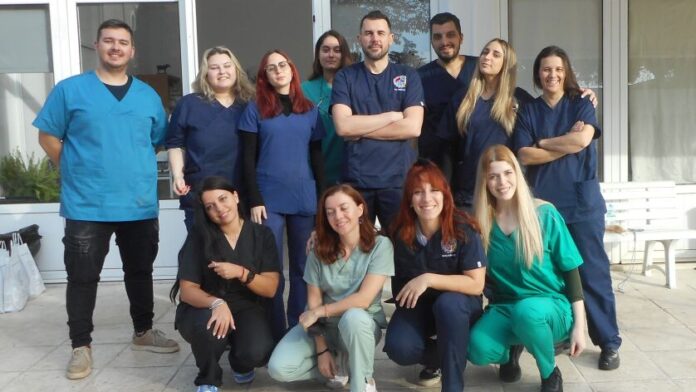 Μαζικές στειρώσεις αδέσποτων ζώων από τον Δήμο Ορεστιάδας
