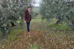 Επιτόπιες έρευνες από ομάδες του ΕΛΓΑ σε πληγείσες ζώνες της Π. Πελοποννήσου