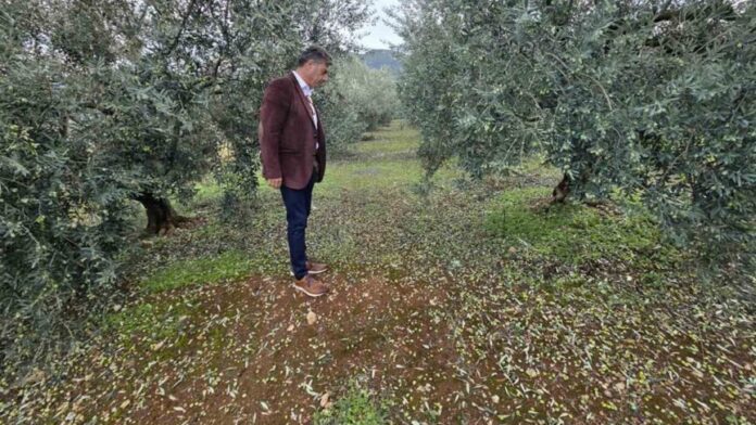 Επιτόπιες έρευνες από ομάδες του ΕΛΓΑ σε πληγείσες ζώνες της Π. Πελοποννήσου