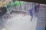 «Ο σκύλος μας είναι οικογενειακό μέλος εδώ και δέκα χρόνια» – Τι αναφέρει ο γιος του 76χρονου που δέχτηκε επίθεση από ροτβάιλερ