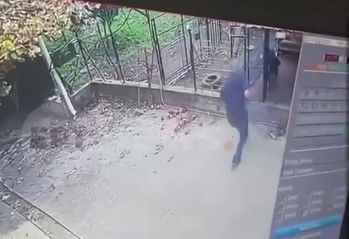 «Ο σκύλος μας είναι οικογενειακό μέλος εδώ και δέκα χρόνια» – Τι αναφέρει ο γιος του 76χρονου που δέχτηκε επίθεση από ροτβάιλερ