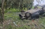 Θρήνος στη Λοκρίδα: Δύο νέοι νεκροί τα ξημερώματα σε τροχαίο – To αυτοκίνητο προσέκρουσε σε ελιά – «Φαίνεται πως απογειώθηκε»