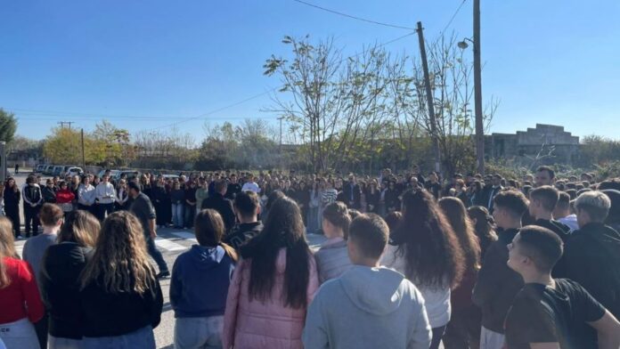 Δ.Τυρνάβου: Ονοματοδοσία δρόμου στη μνήμη της Βάγιας Μπλέκα-Καρακώστα
