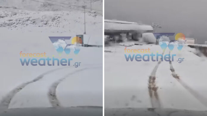 Εντυπωσιακό το τοπίο στον Παρνασσό – Στα λευκά «ντύθηκε» το χιονοδρομικό κέντρο, δείτε βίντεο