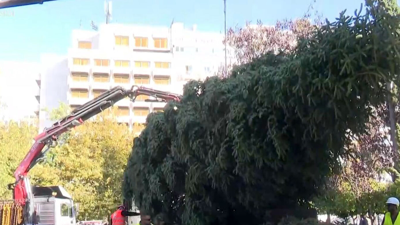 Κατέφθασαν στο Σύνταγμα και την Αριστοτέλους τα μαγευτικά χριστουγεννιάτικα δέντρα – Δείτε βίντεο