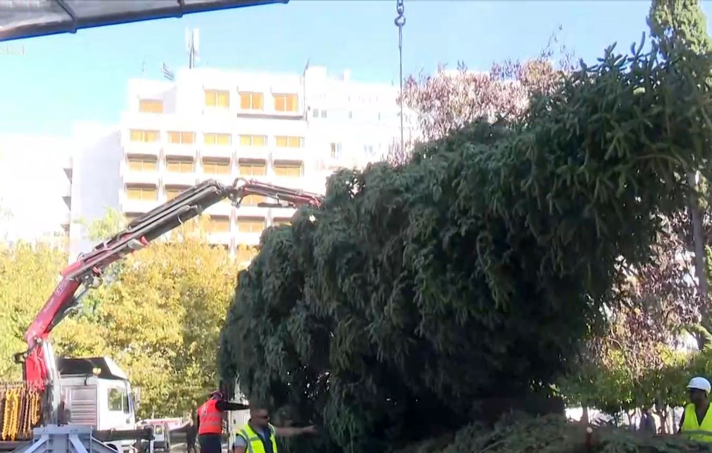 Κατέφθασαν στο Σύνταγμα και την Αριστοτέλους τα μαγευτικά χριστουγεννιάτικα δέντρα – Δείτε βίντεο