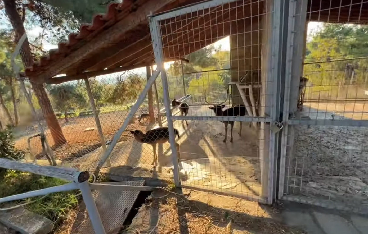 Η αιτία της προσωρινής παύσης λειτουργίας του Ζωολογικού Κήπου Θεσσαλονίκης