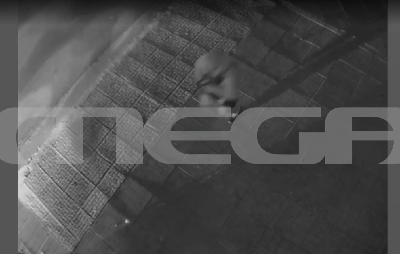 Βίντεο – Αποκάλυψη: Πώς οι αστυνομικοί συνέλαβαν τον γιο του Μιχάλη Κατρίνη στο Χαλάνδρι