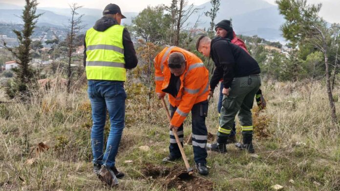 6η Δενδροφύτευση ΣΠΑΠ σε συνεργασία με τον Δήμο Πεντέλης: Η Πεντέλη ξαναγίνεται πράσινη!