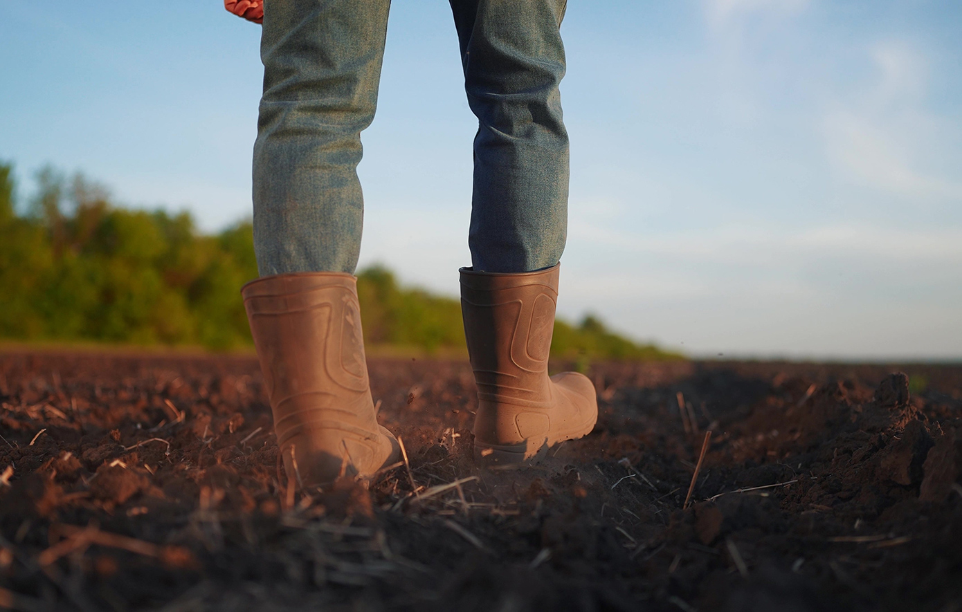 Πώς οργάνωσαν την απάτη με τις επιδοτήσεις του ΟΠΕΚΕΠΕ ο αγροτοσυνδικαλιστής, ο λογιστής και η δικηγόρος