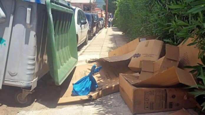 Δ.Ήλιδας: Καινοτόμο σχέδιο για συλλογή χαρτόκουτων από τις επιχειρήσεις της Αμαλιάδας