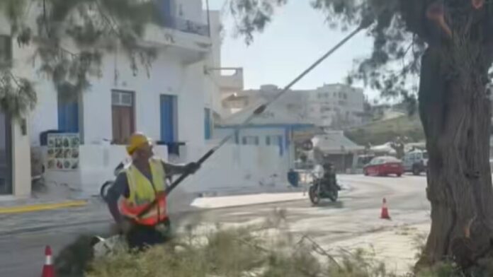 Δ.Τήνου: Σε εξέλιξη εργασίες κλαδέματος – παραγωγή κομπόστ