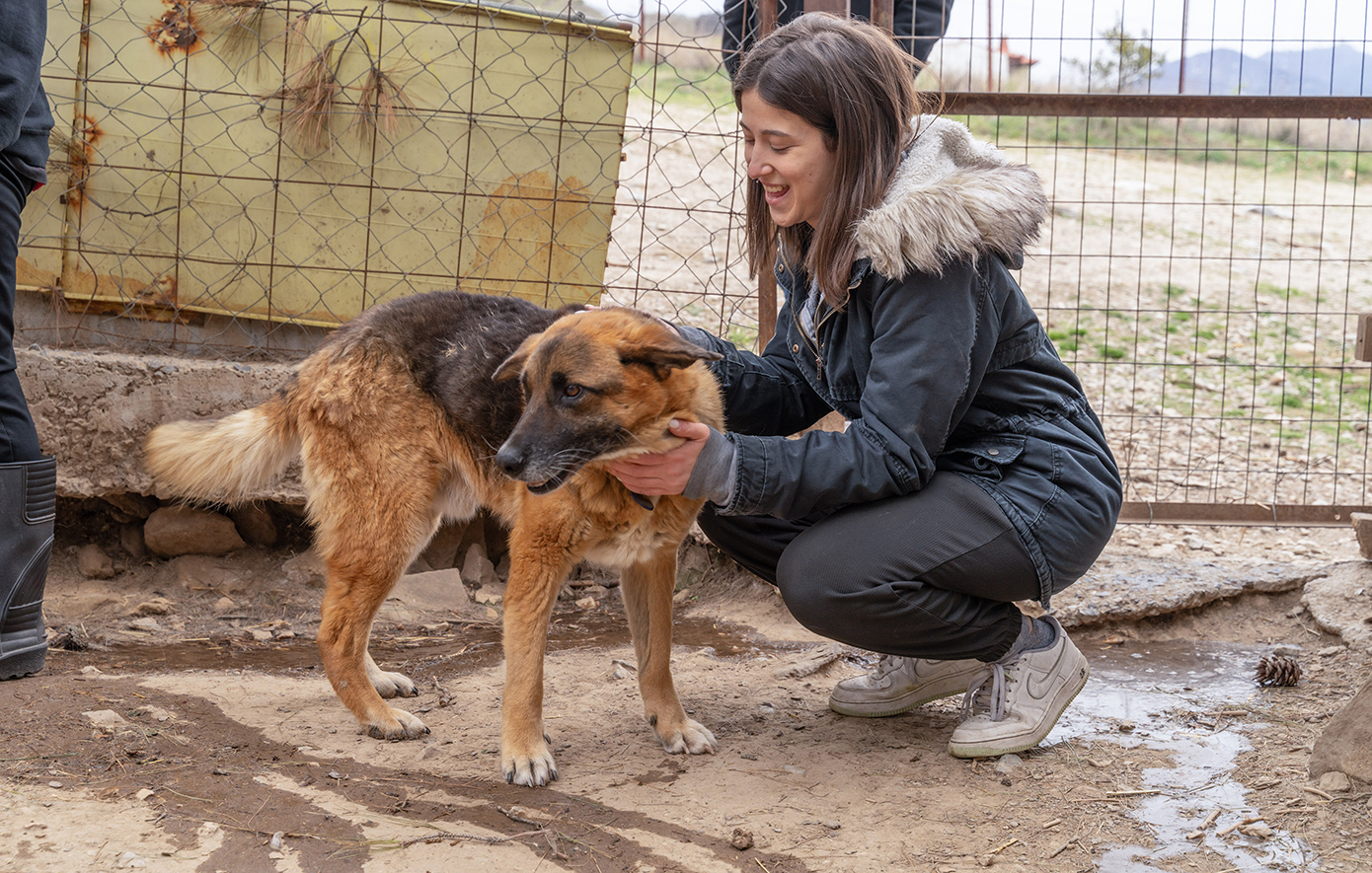 Όπου μια απλή κίνηση αρκεί για να μεταμορφώσει μια ζωή: Τέσσερις πραγματικές ιστορίες αλληλεγγύης