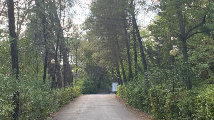 Ολοκλήρωσε ο δήμος Μεγαλόπολης τις ζώνες πυροπροστασίας