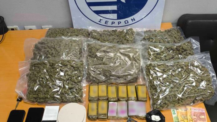 Σύλληψη άνδρα στη Θεσσαλονίκη: Πάνω από πέντε κιλά κάνναβης βρέθηκαν με τη βοήθεια του αστυνομικού σκύλου Roxy