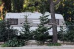 «22 μέρες σε τροχόσπιτο»: Η νομαδική ζωή των ελατοπαραγωγών που φτάνουν στην Αθήνα – Οι φετινές τιμές και οι προτιμήσεις