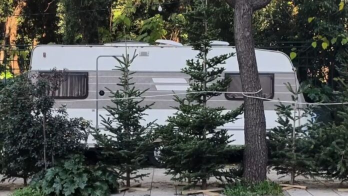 «22 μέρες σε τροχόσπιτο»: Η νομαδική ζωή των ελατοπαραγωγών που φτάνουν στην Αθήνα – Οι φετινές τιμές και οι προτιμήσεις