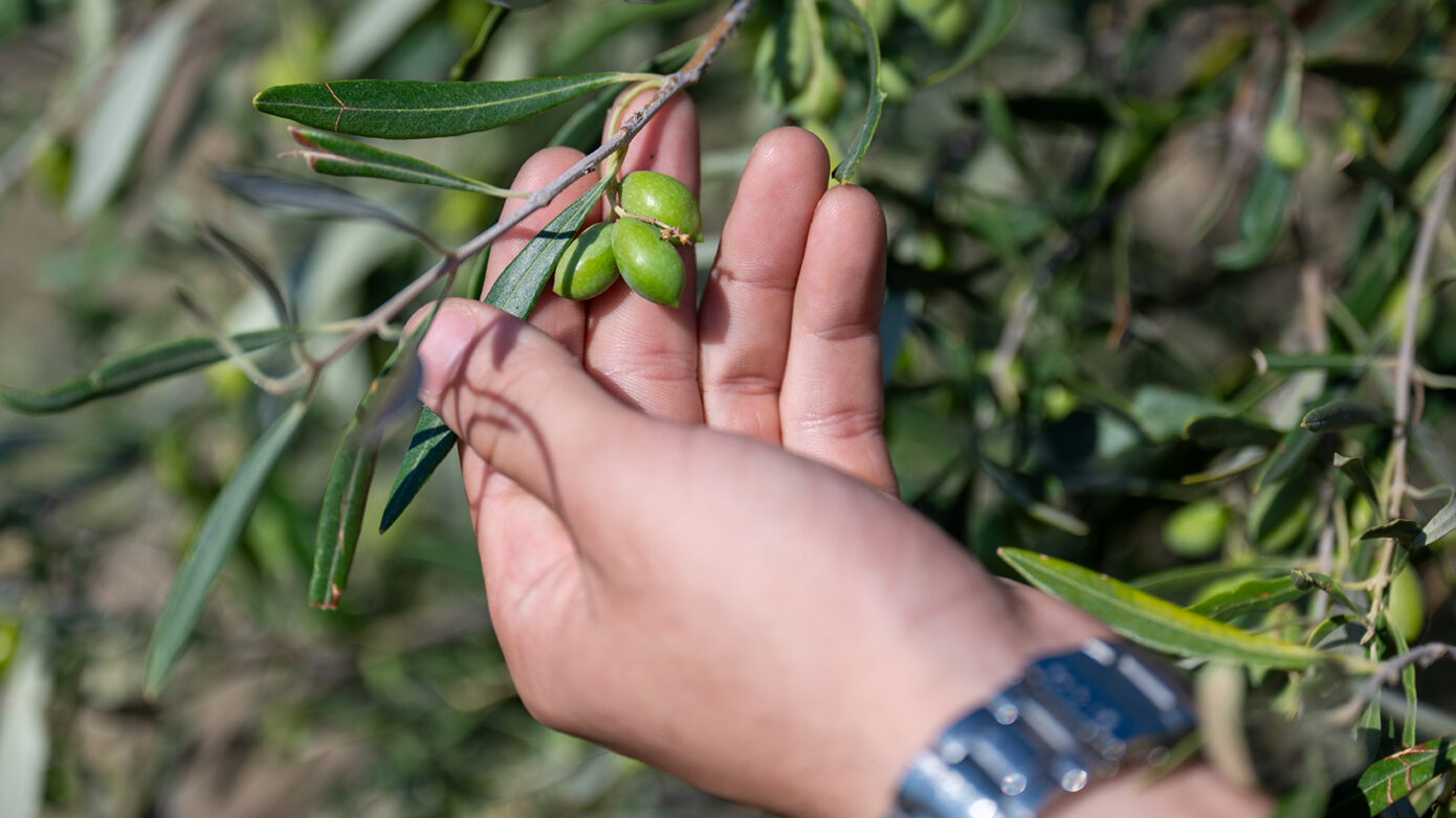 Zero Drop Μόρνος: Καμία σταγόνα νερού χαμένη