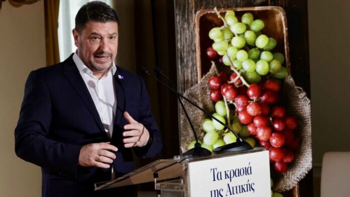 Ν. Χαρδαλιάς: «Ο αττικός αμπελώνας αποτελεί κομμάτι της κληρονομιάς μας»