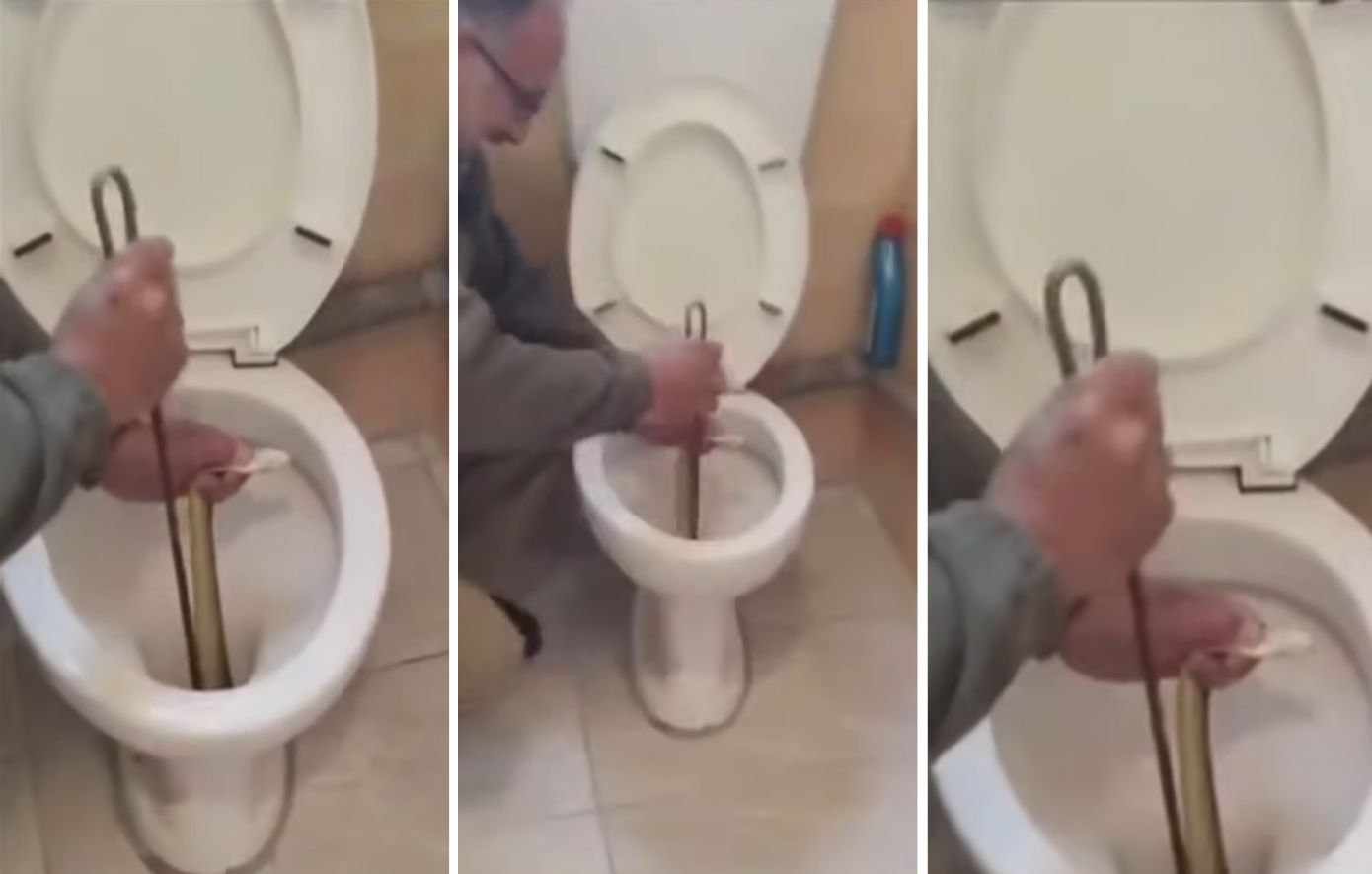 Καστοριά: Ανακάλυψε φίδι δύο μέτρων στη λεκάνη – Ζούσε εκεί για δύο εβδομάδες