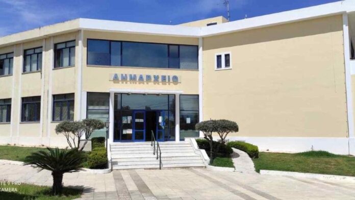 Ο Δήμος Ραφήνας-Πικερμίου αυξάνει την φροντίδα για τα αδέσποτα ζώα