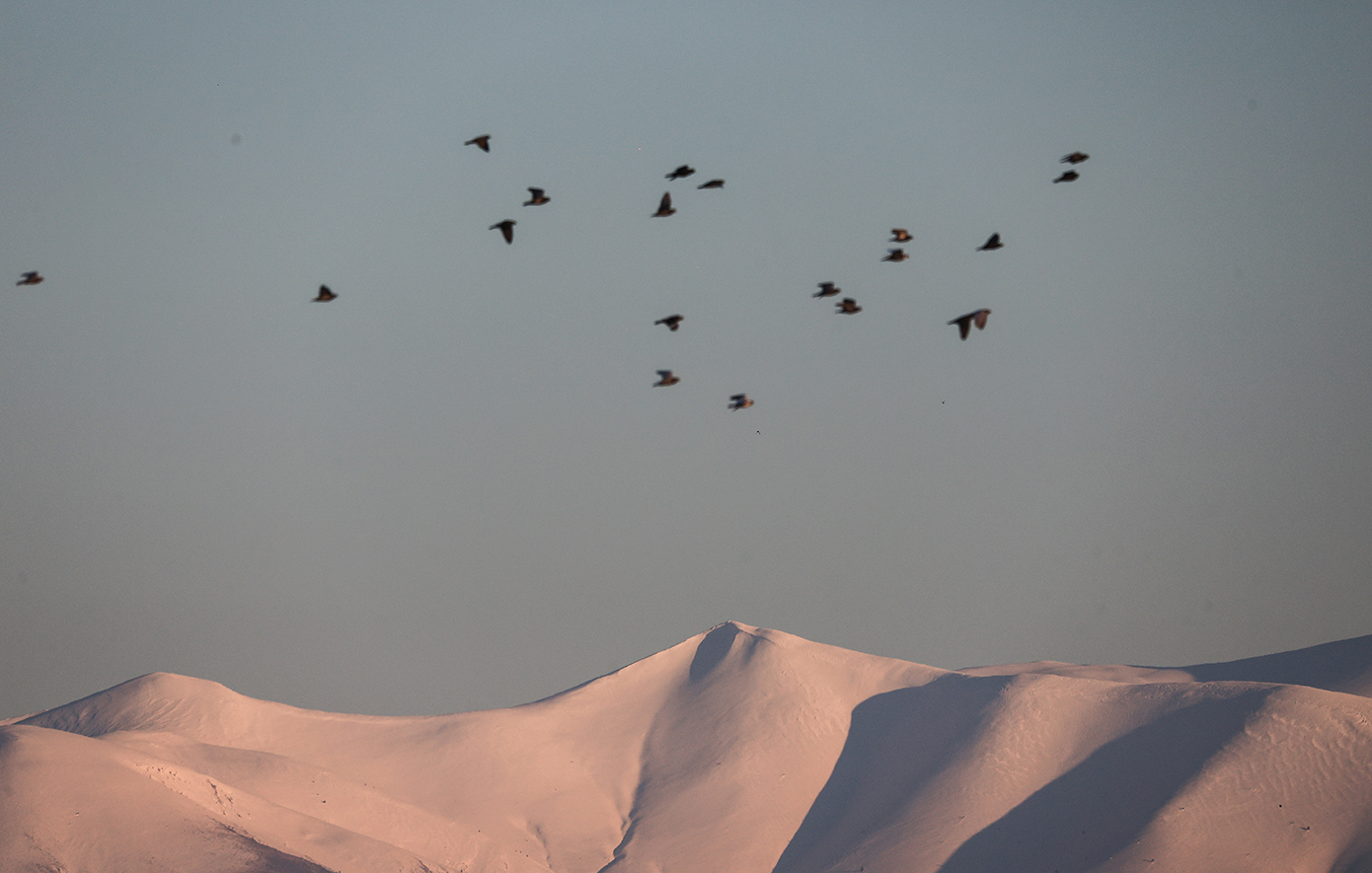 Σαγηνευτικές εικόνες από τις χιονισμένες κορυφές του Ολύμπου
