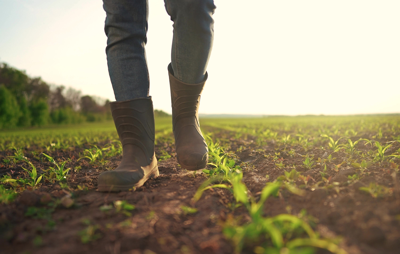 Αγροτοσυνδικαλιστής, λογιστής και σύζυγος: Ποιοι πιάστηκαν για τον ΟΠΕΚΕΠΕ – Ακόμη κυνηγούσαν τις επιδοτήσεις
