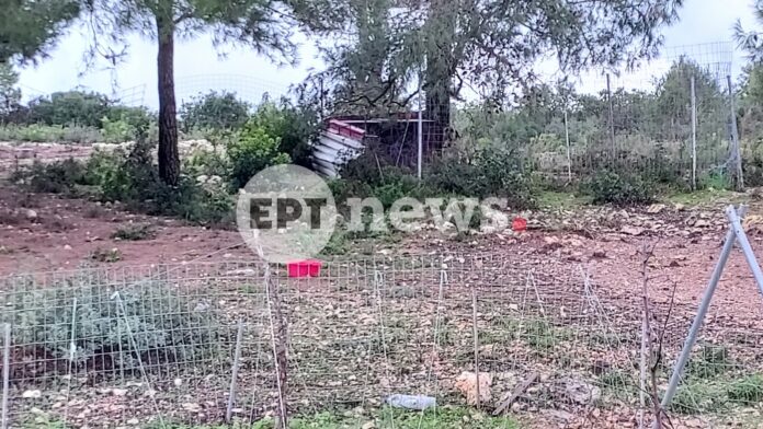 Θλίψη για τον 2χρονο που χάθηκε από επίθεση πίτμπουλ στη Ζάκυνθο – Ο σκύλος ζούσε δύο μήνες με την οικογένεια