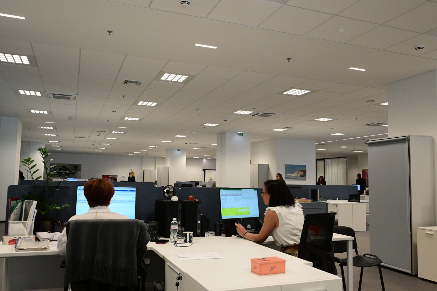 Πότε και για ποιους απενεργοποιεί τον ΑΦΜ η εφορία – Τι θα συμβεί με τους πολλαπλούς αριθμούς και τα ψευδή στοιχεία