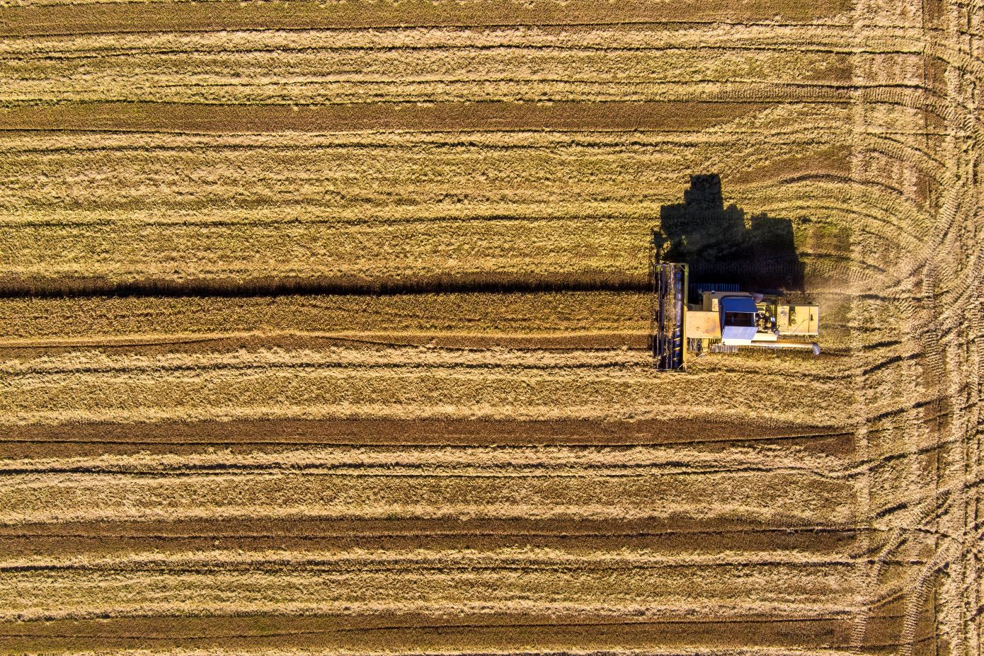 Ψηφιακή επανάσταση στις αγροτικές ενισχύσεις με δορυφόρους και ΑΙ – Παπαστεργίου: «Εργαλείο δικαιοσύνης για τους αγρότες»