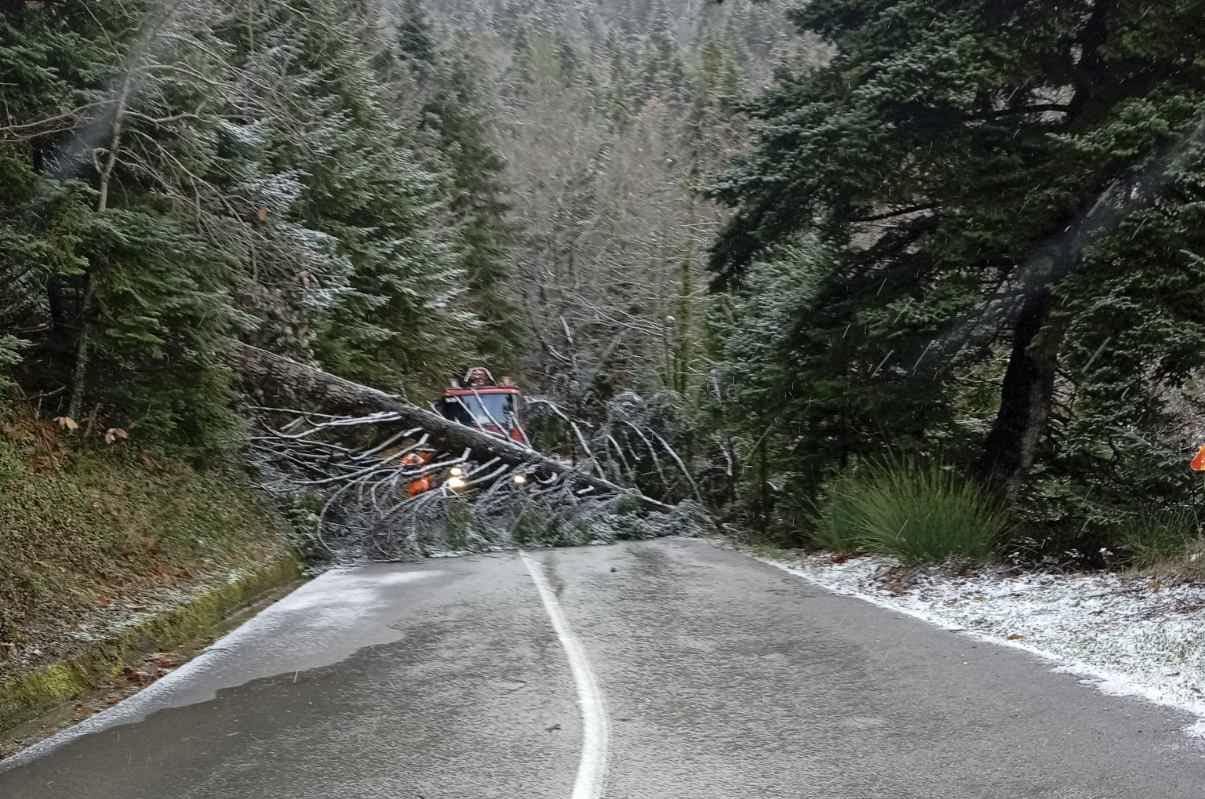 Ισχυροί άνεμοι χτυπούν τον δήμο Μακρακώμης