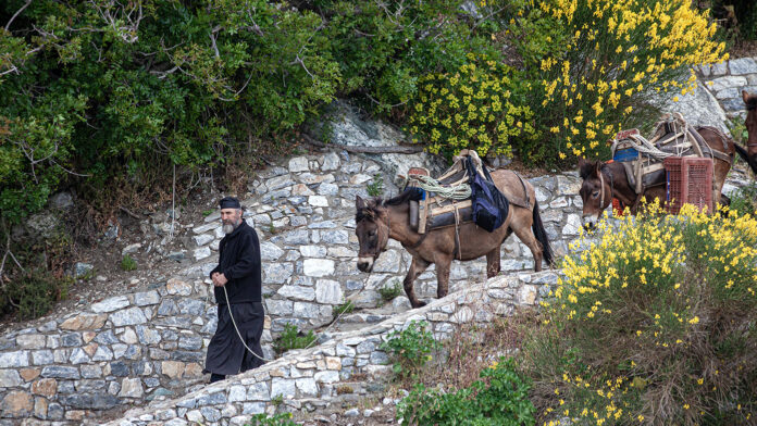 Άγιο Όρος: Η κρυφή χαρτογράφηση δύναμης – Μονές, εθνικές επιρροές και το παρασκήνιο της πνευματικής διπλωματίας