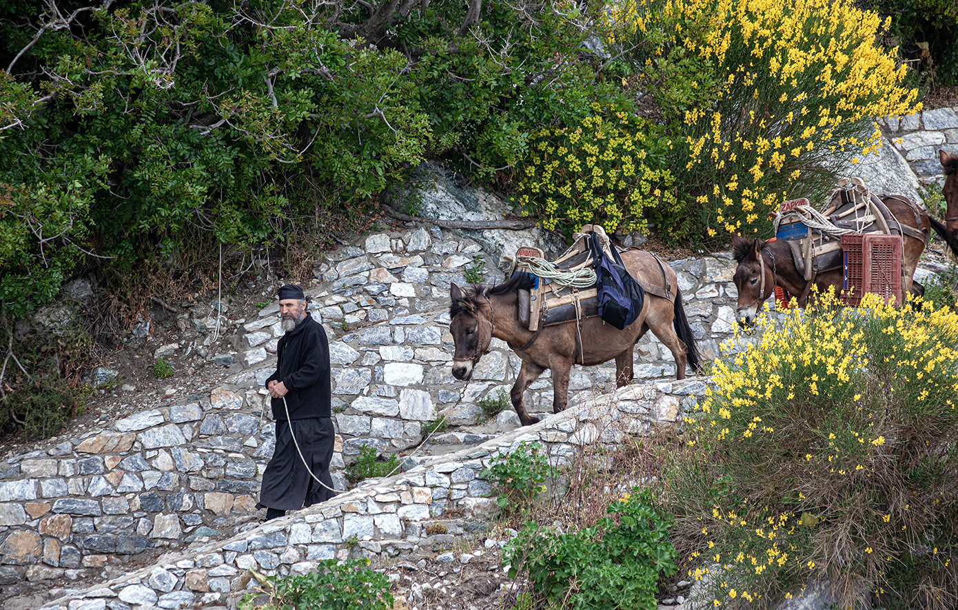 Άγιο Όρος: Η κρυφή χαρτογράφηση δύναμης – Μονές, εθνικές επιρροές και το παρασκήνιο της πνευματικής διπλωματίας