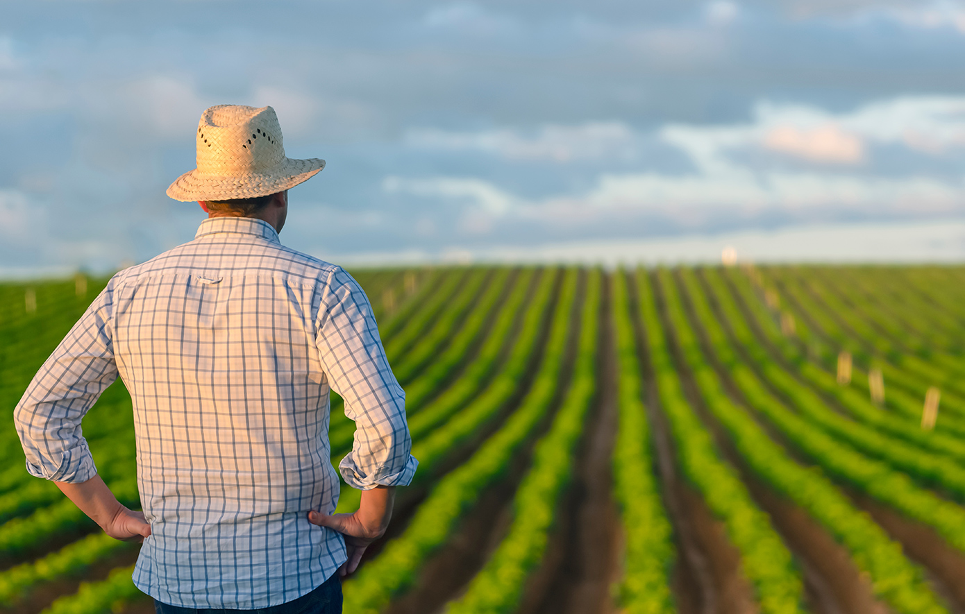 Πώς η συμφωνία ΕΕ – Mercosur διασφαλίζει 21 ελληνικά ΠΟΠ προϊόντα και τους Έλληνες παραγωγούς