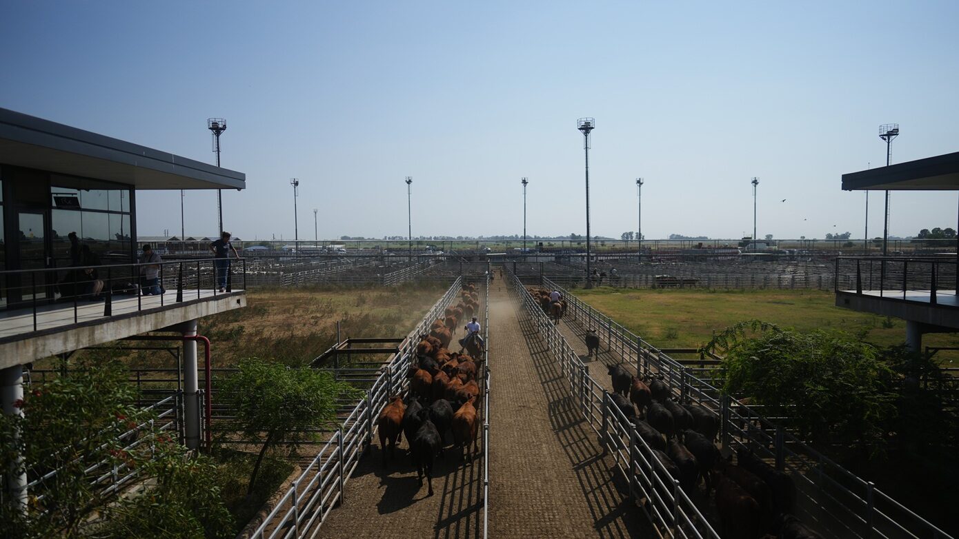 Η ιστορική συμφωνία ΕΕ – Mercosur υπογράφεται σήμερα στην Ασουνσιόν της Παραγουάης