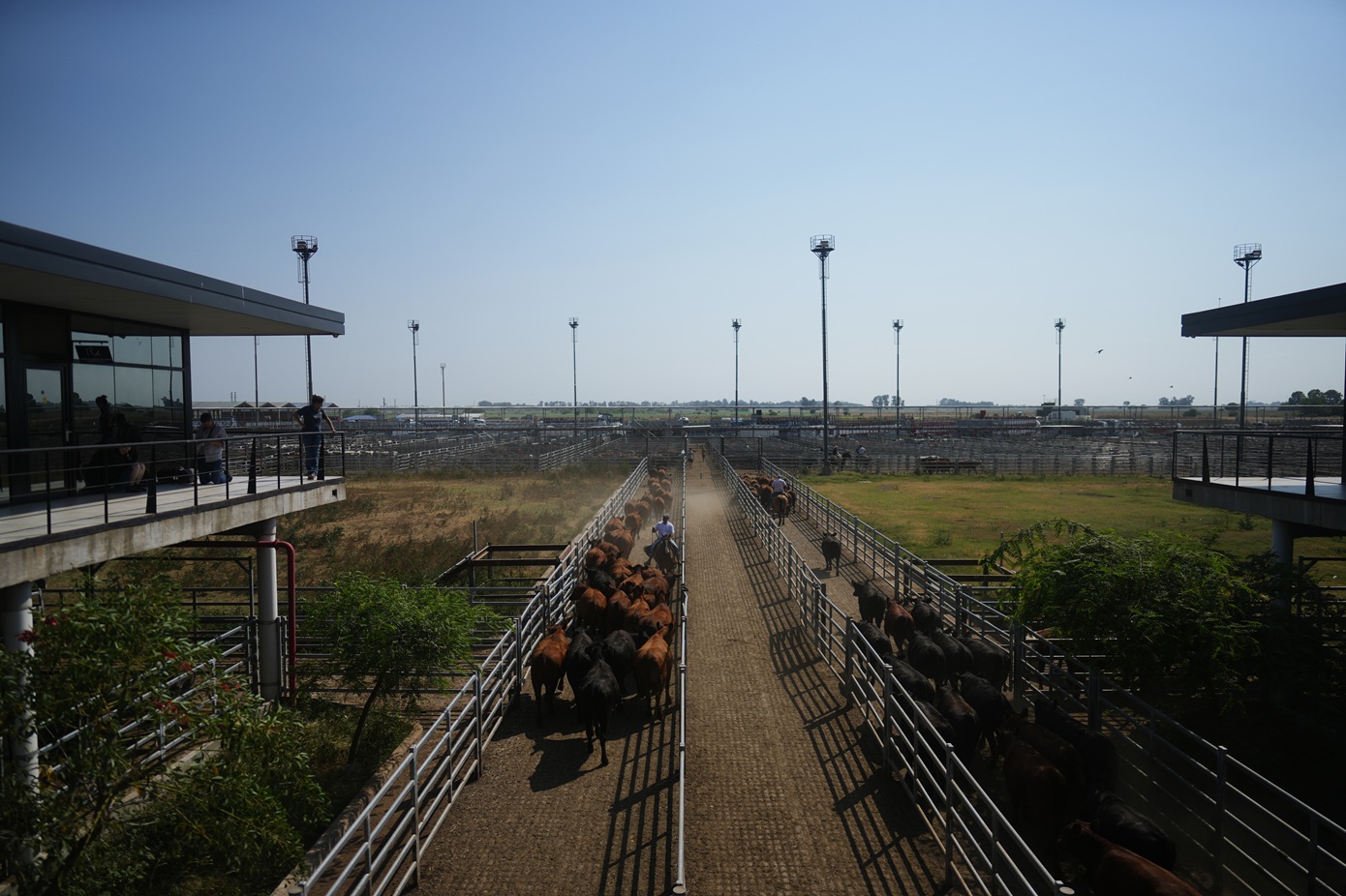 Η ιστορική συμφωνία ΕΕ – Mercosur υπογράφεται σήμερα στην Ασουνσιόν της Παραγουάης