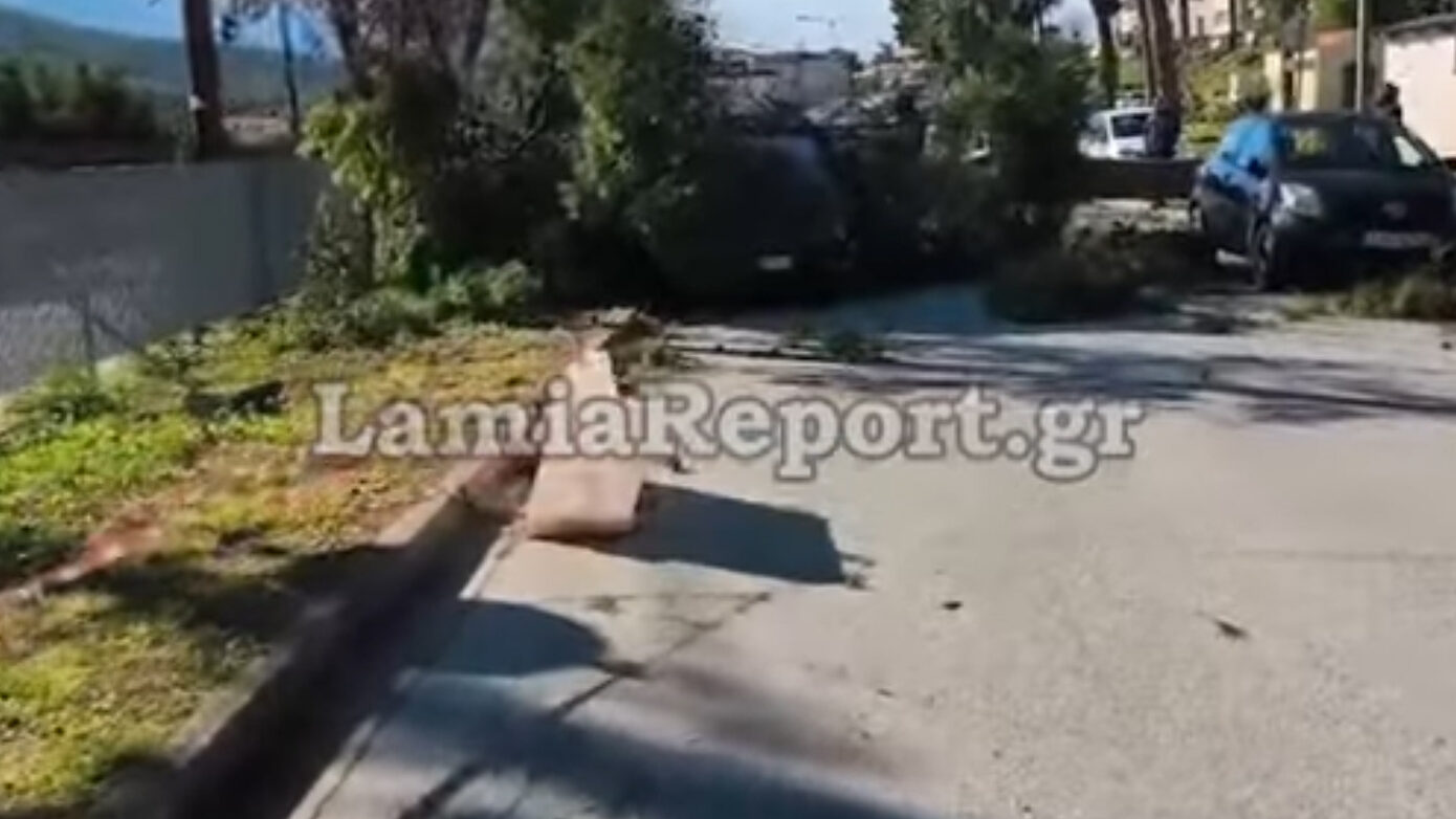 Δέντρο κατέρρευσε σε οχήματα στο Νοσοκομείο Λαμίας – Σε ετοιμότητα οι πυροσβέστες για πτώσεις λόγω ισχυρών ανέμων