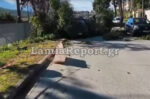 Δέντρο κατέρρευσε σε οχήματα στο Νοσοκομείο Λαμίας – Σε ετοιμότητα οι πυροσβέστες για πτώσεις λόγω ισχυρών ανέμων