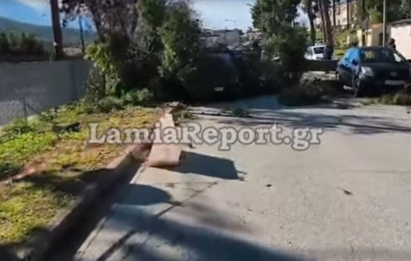 Δέντρο κατέρρευσε σε οχήματα στο Νοσοκομείο Λαμίας – Σε ετοιμότητα οι πυροσβέστες για πτώσεις λόγω ισχυρών ανέμων
