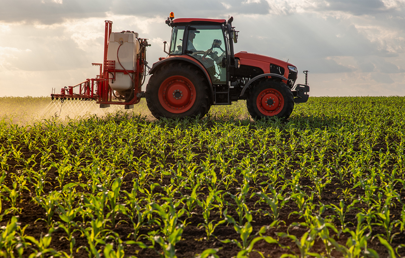 ΕΛΓΑ: Καταβολή 6,4 εκατ. ευρώ σε πληγέντες παραγωγούς από τον παγετό της άνοιξης 2025