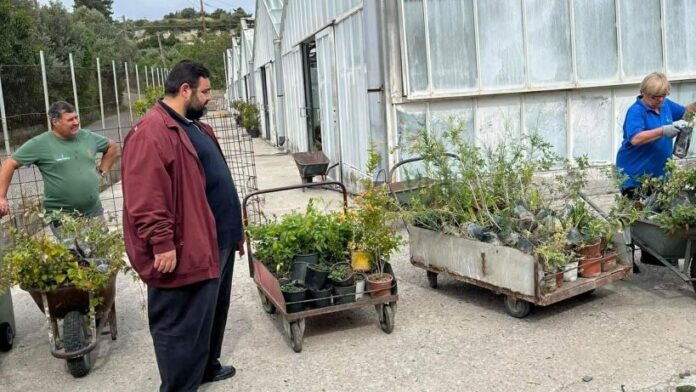 2.700 φυτά από το Περιφερειακό Φυτώριο Ν. Αιγαίου μεταμορφώνουν το τοπίο των νησιών