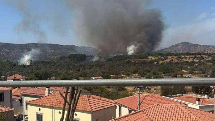 Δ.Δυτ.Λέσβου: Απειλή για αποζημιώσεις πολλών πληγέντων από τη φωτιά σε Βρίσα και Βατερά