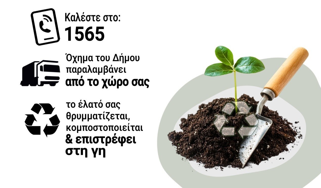 Ο Δήμος Π. Φαλήρου επαναχρησιμοποιεί τα φυσικά Χριστουγεννιάτικα Δέντρα