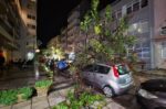 Αλεξανδρούπολη – σκηνές «καταστροφής»: Δέντρα ξεριζώθηκαν, μηχανές αναποδογύρισαν, οι άνεμοι έφτασαν τα 154χλμ/ώρα