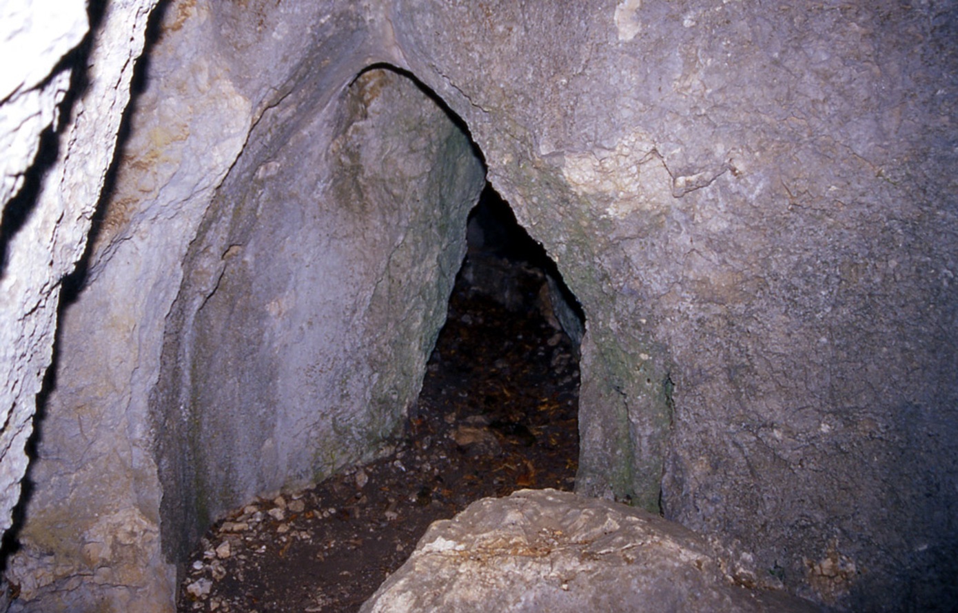 Οι αρκούδες του Κέντρου Προστασίας στο Νυμφαίο σε χειμερία νάρκη στις φωλιές τους