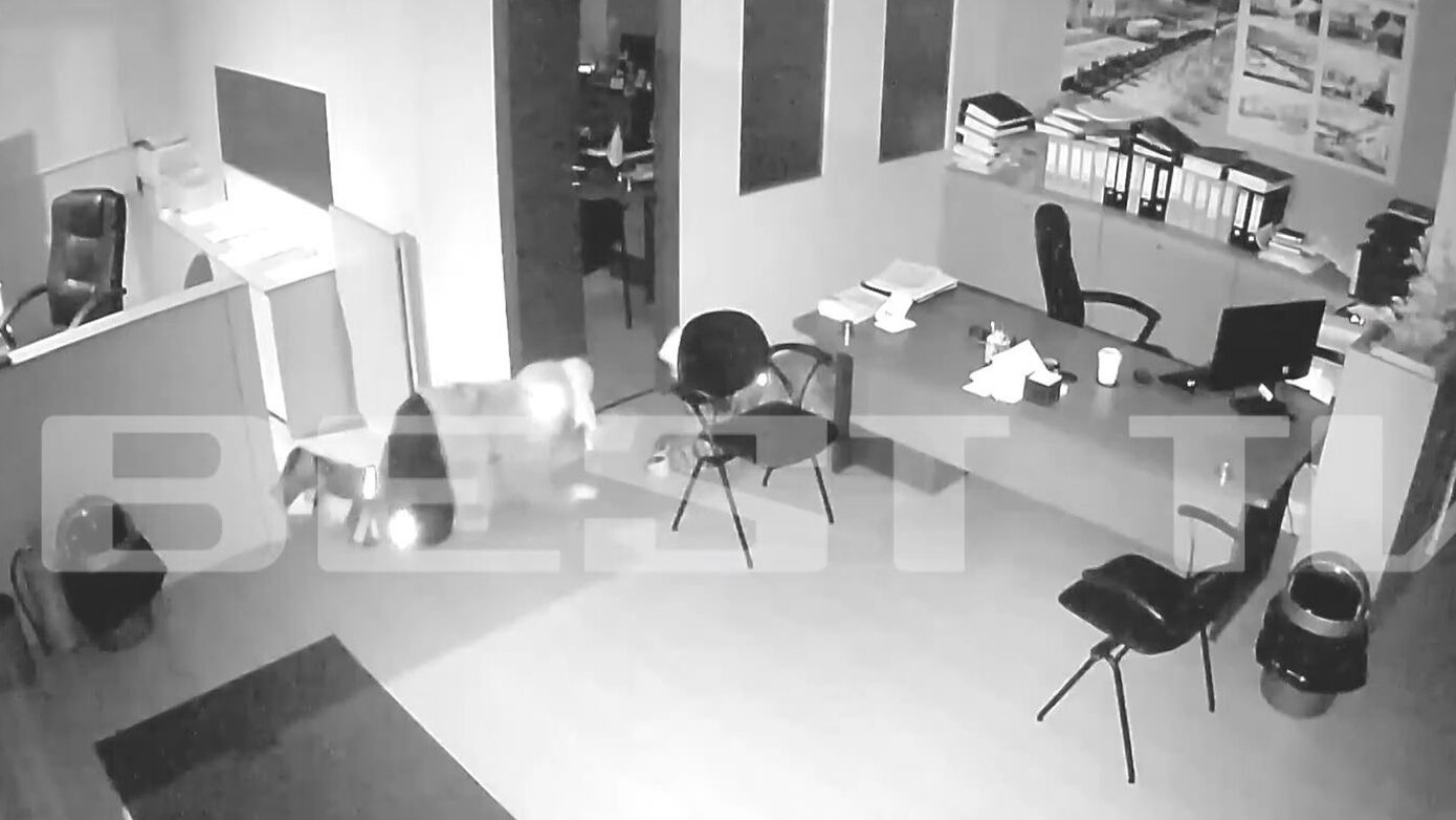 Σπείρα με ποδήλατα εισέβαλε στα ΚΤΕΛ Καλαμάτας