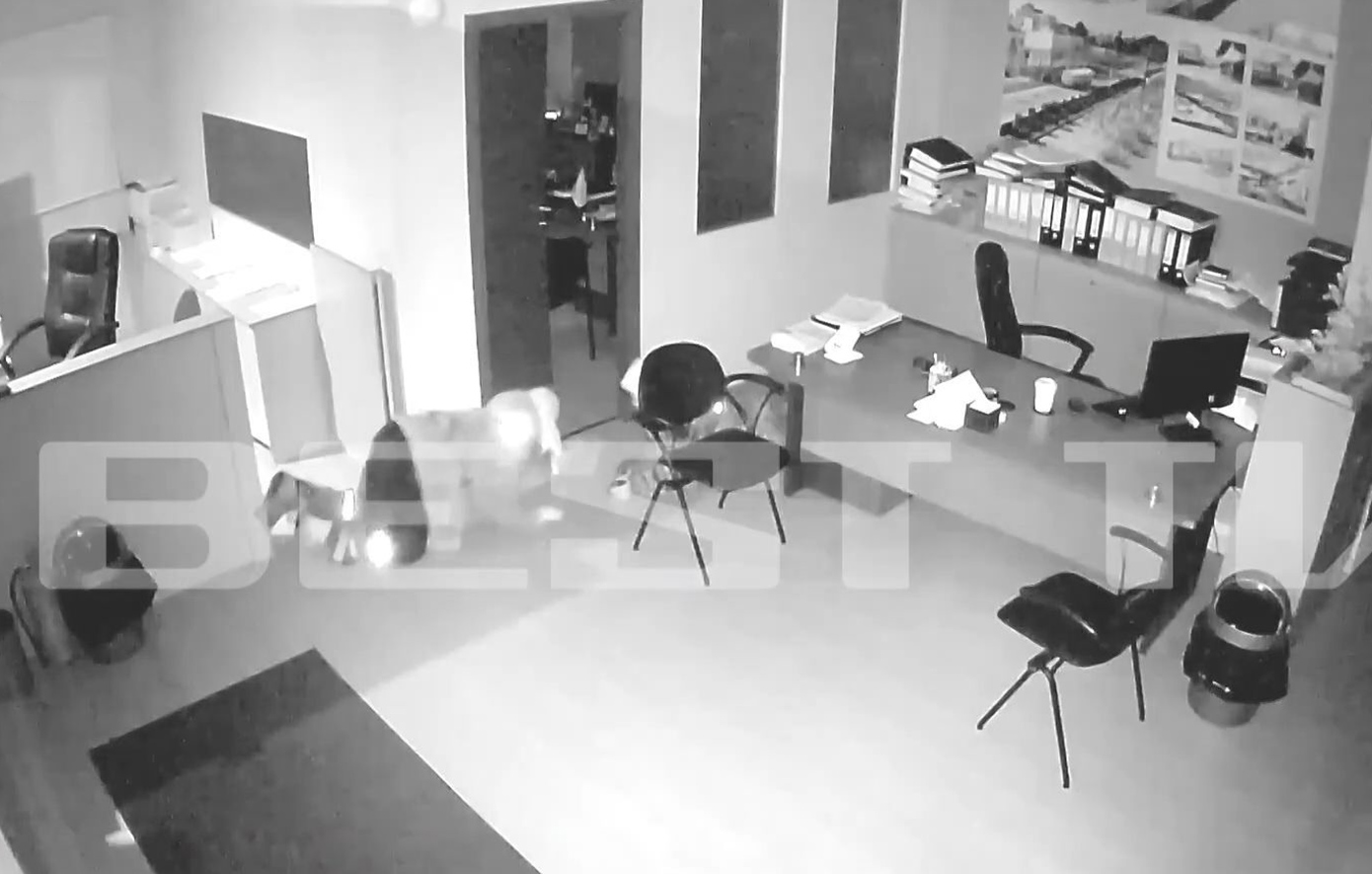 Σπείρα με ποδήλατα εισέβαλε στα ΚΤΕΛ Καλαμάτας