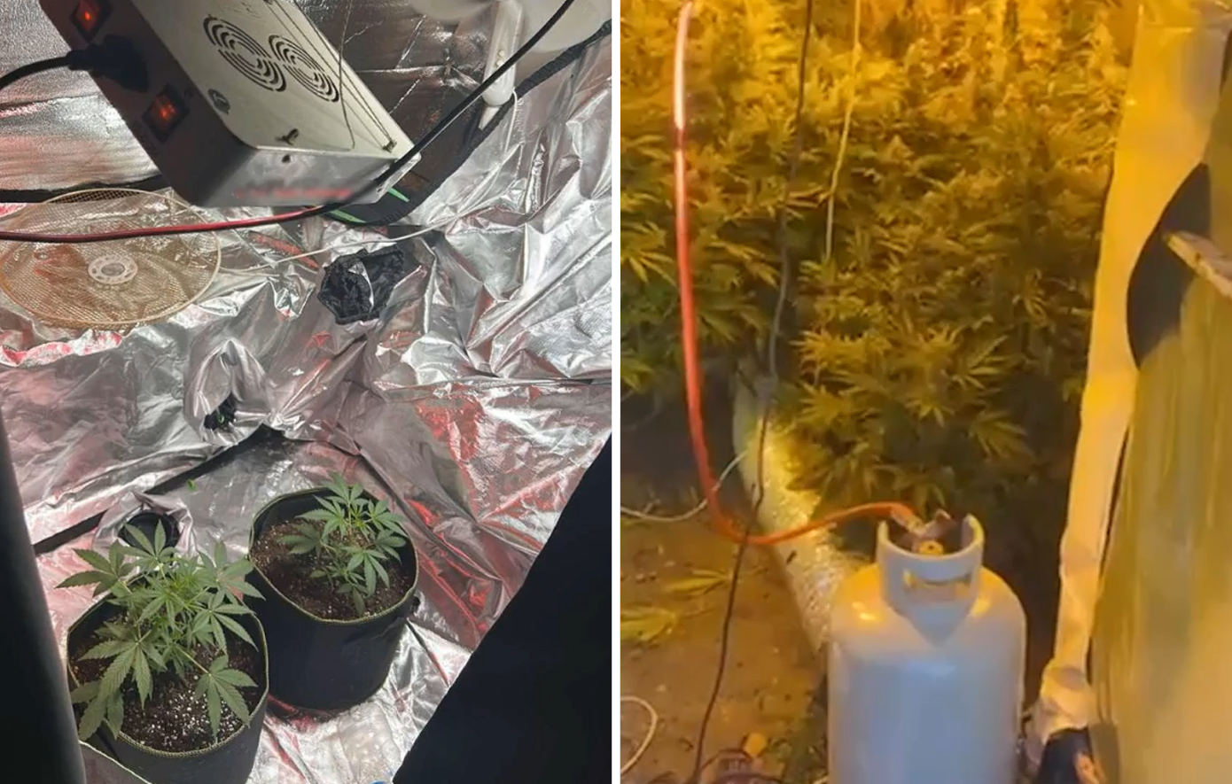 Η ΕΛ.ΑΣ. διέλυσε δίκτυο καλλιέργειας ναρκωτικών στη Ρόδο – Ανακαλύφθηκε πλήρες εργαστήριο υδροπονικής κάνναβης