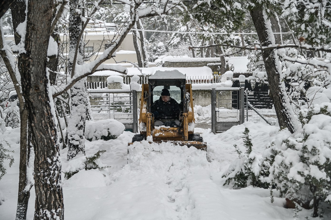 Παγωνιά στη Βόρεια Ελλάδα – Καθυστερημένο κουδούνι στα σχολεία εξαιτίας ψύχους