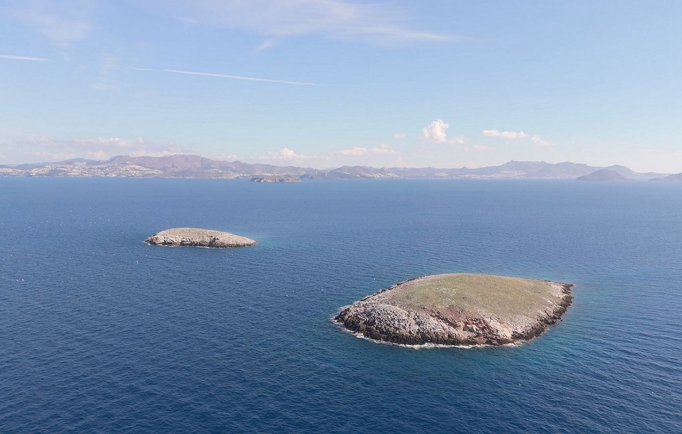 Συγκλονίζουν οι μαρτυρίες για τα Ίμια 30 χρόνια μετά – «Οι πυραυλάκατοι ήταν έτοιμες να ανοίξουν πυρ αν δινόταν εντολή»